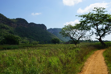 Mountains in the North of Cuba