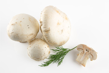 Fresh and appetizing mushrooms isolated on white background