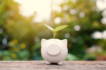 Piggy bank and money on table