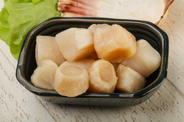 Raw scallops heap