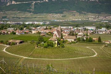 Characteristic circular vineyard in the South Tyrol, Egna, Bolzano, Italy on the wine road.