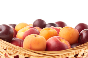 Fruit. Apricots, nectarines and plums.