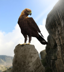 Golden Eagle Proud