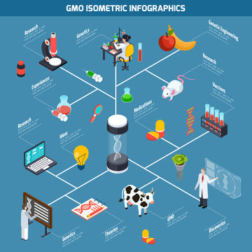 GMO Isometric Infographics