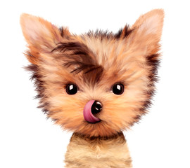 Adorable yorkshire terrier sitting licking nose