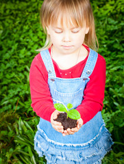 Little girl holding seeding with ground