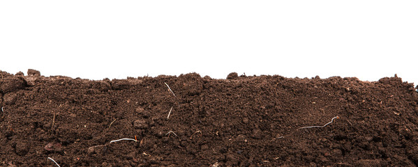 Handful of dark brown soil isolated on white background - obrazy, fototapety, plakaty