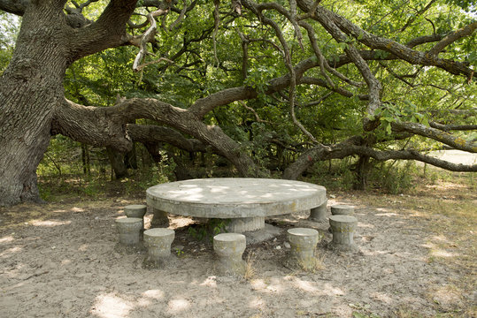 Stone table and chairs, from the forest near Letea village, in the Danube Delta area, Romania, in a sunny summer day