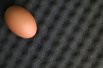 Egg put on the grey color sponge represent the care and good protective.