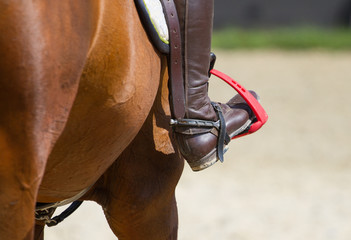 Dressage horse and  rider