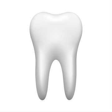 White tooth isolated on white background, stomatology icon, realistic vector illustration