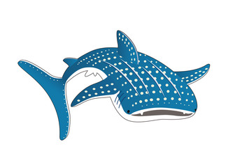 Fototapeta premium ジンベイザメ