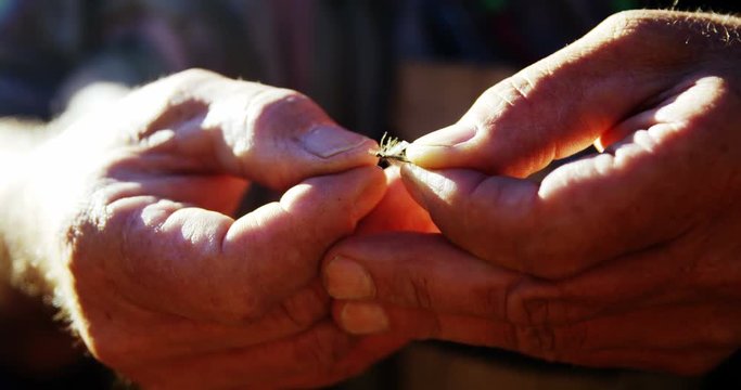 Fly fisherman preparing bait for fishing