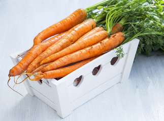 Fresh organic carrots bunch on wooden white crate with green leaves