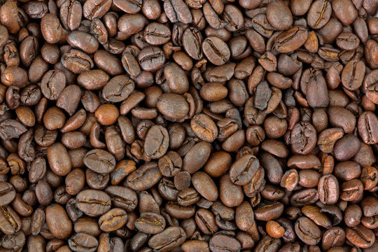Closeup of very dark brown roasted Robusta coffee beans.