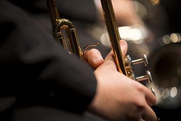 Details of a music orchestra