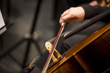 Details of a music orchestra
