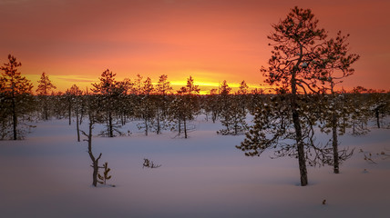 Obraz na płótnie Canvas Siberian sunset