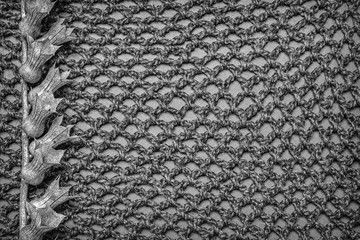 Monochrome dark background with dried flower and lace, space for text. Dark sad theme.