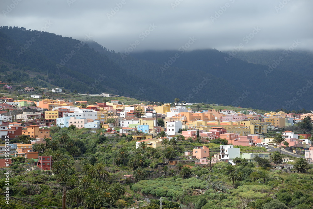 Canvas Prints brena baja, la palma