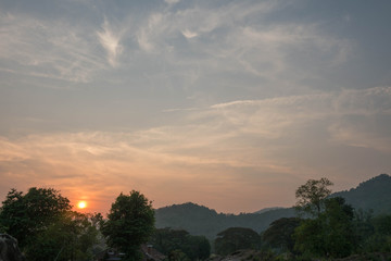 Fototapeta na wymiar tree silhouette in sunset