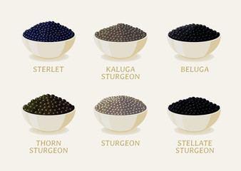 Set of black caviar on white plate