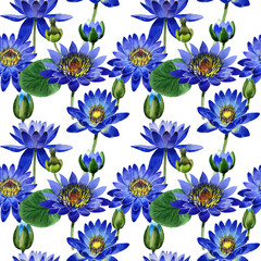 Wildflower blue lotus flower pattern in a watercolor style isolated.