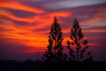 Obraz premium sunset