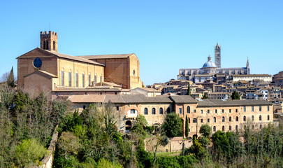 Fototapeta premium Cattedrale di Santa Maria Assunta