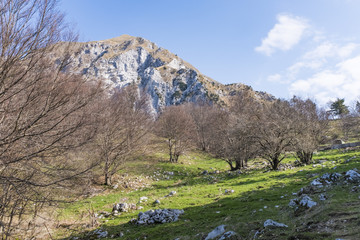 Naklejka premium Monte Chiampon and Monte Deneal in Gemona, Udine in Italy