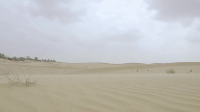 Arabian desert HD slow-motion video. Dry sandy dune and barchan sand terrain nature landscape