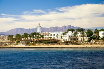 Foto op Plexiglas Red Sea. Egypt. Sharm El-Sheikh. © ola_pisarenko