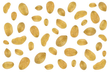 Potatoes pattern isolated on white background