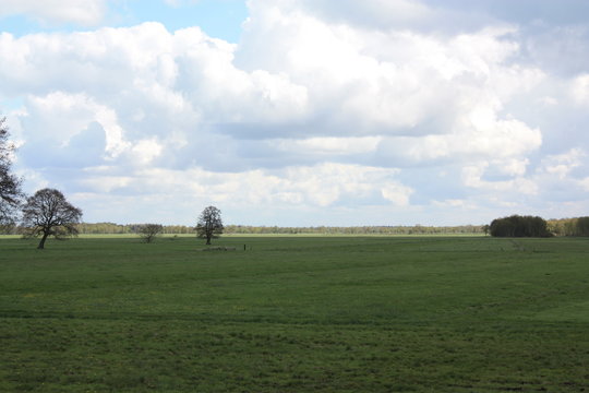Wiesen