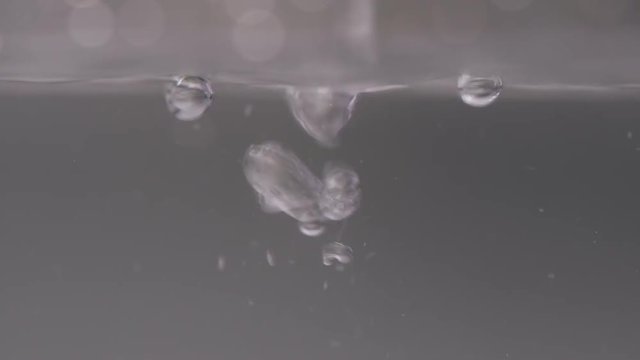 Air bubbles in a water.