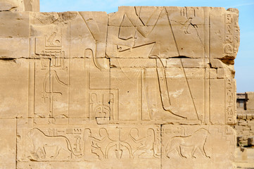 Egyptian hieroglyph in the Karnak temple in Luxor