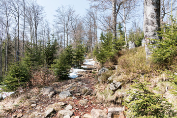 Obraz premium Wejście na "Big Rachel" 1453m n.p.m.