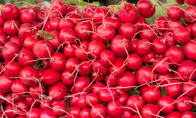 Red radishes