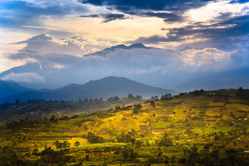 View to  Rwenzori Mountains around Fort Portal - Uganda