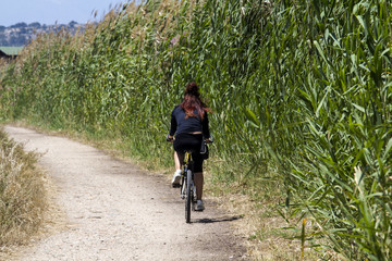 QUARTU S..E: Passeggiata in bicicletta nel Parco Regionale di Molentargius - Sardegna