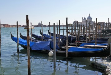 Gondeln am Canal Grande