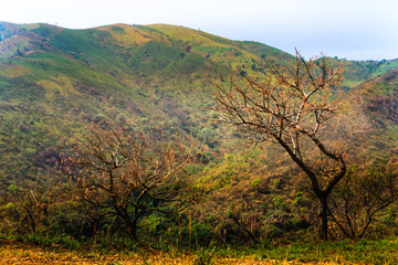 Landscape in Semuliki Valley - Uganda