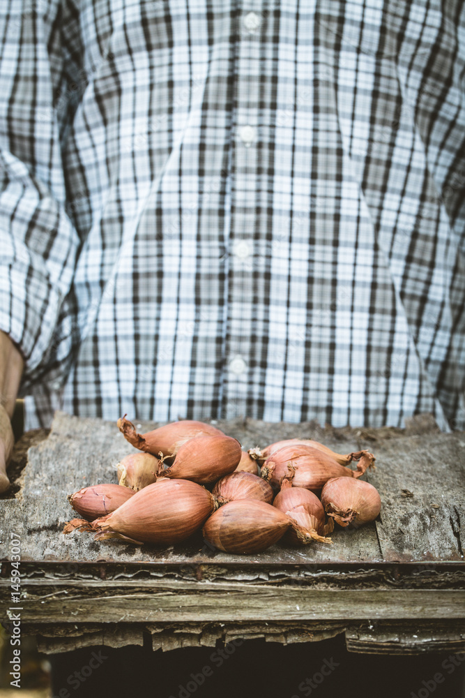 Sticker Farmer with onions