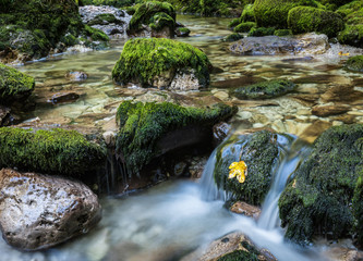 Flüsschen in der Steiermark