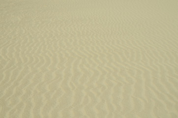 Spain, Canary Island, Fuerteventura, El Jable