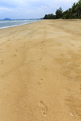 on the beach there are many footprints of tourists