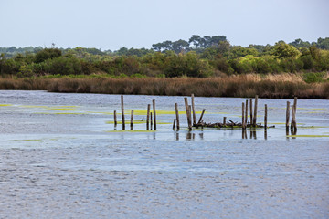 Artificial wooden island built on stilts for nesting birds in the middle of calm lake in ornithological park of the delta Arcachon bassin, France