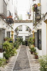 Cordoba (Andalucia, Spain): street