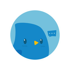Blue bird social media icon