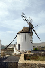 Fototapeta na wymiar Spain, Canary Island, Fuerteventura, Windmill